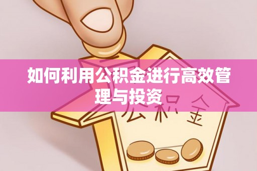 仙居如何利用公积金进行高效管理与投资