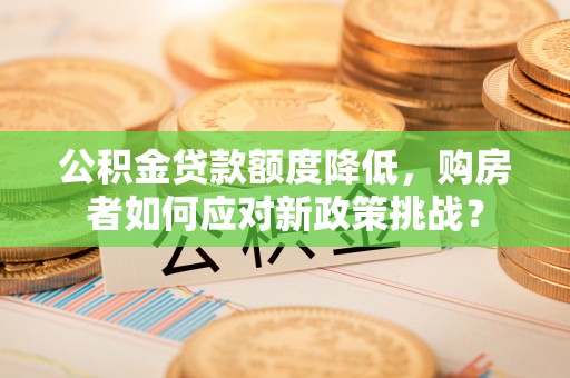 仙居公积金贷款额度降低，购房者如何应对新政策挑战？
