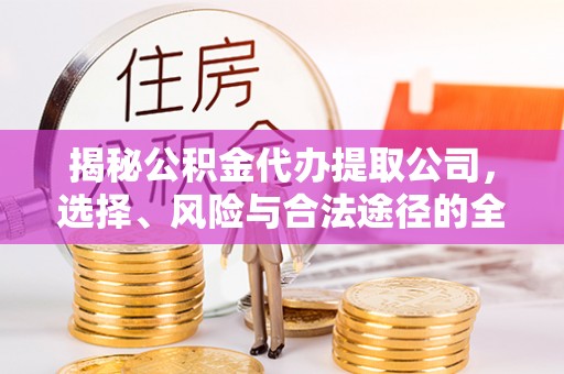 仙居揭秘公积金代办提取公司，选择、风险与合法途径的全面解析