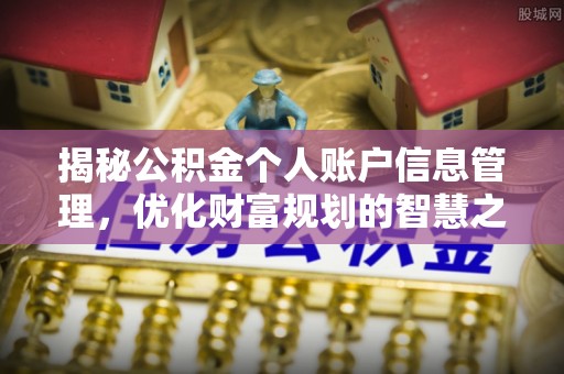 仙居揭秘公积金个人账户信息管理，优化财富规划的智慧之选