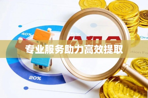 仙居专业服务助力高效提取