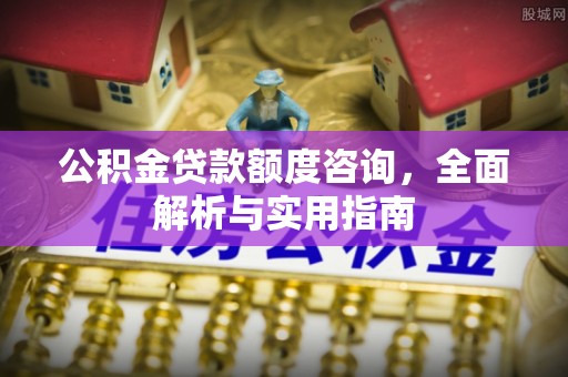 仙居公积金贷款额度咨询，全面解析与实用指南