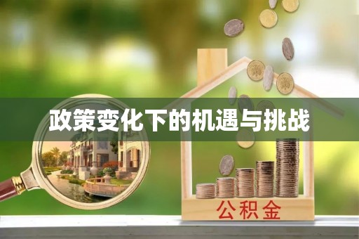 仙居政策变化下的机遇与挑战
