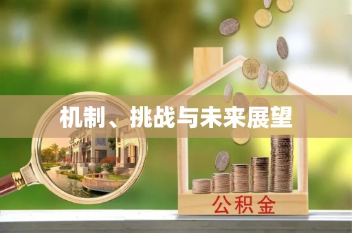 仙居机制、挑战与未来展望